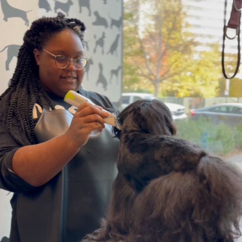 District Dogs National Landing Groomer